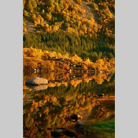 Fjord House In The Heart Of Lofoten *