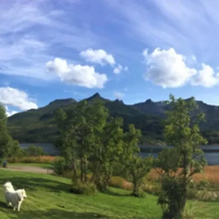 Tatil Evi Fjord House In The Heart Of Lofoten
