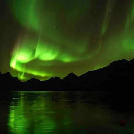Tatil Evi Fjord House In The Heart Of Lofoten